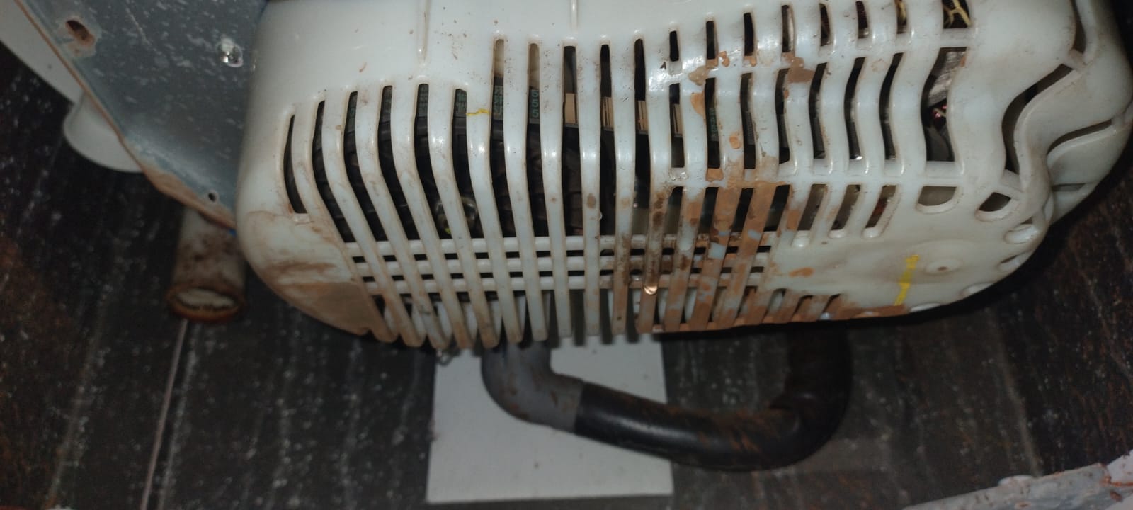 IMG-20260616-WA0185